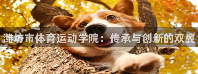 3377体育官方正版app神州：潍坊市体育运动学院：
