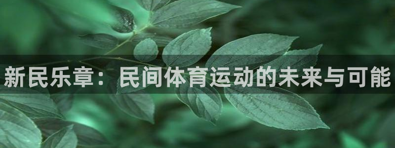 3377体育官方正版app五金厂：新民乐章：民间体育