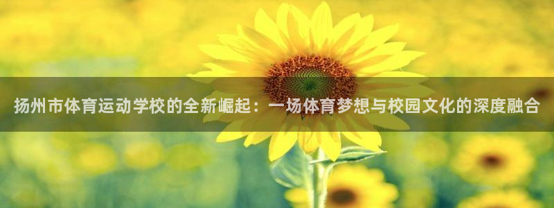 3377体育官方正版app科技：扬州市体育运动学校的