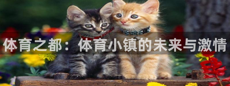 3377体育官方平台体育：体育之都：体育小镇的未来与