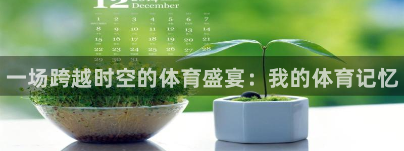 3377体育官方正版app官网：一场跨越时空的体育盛