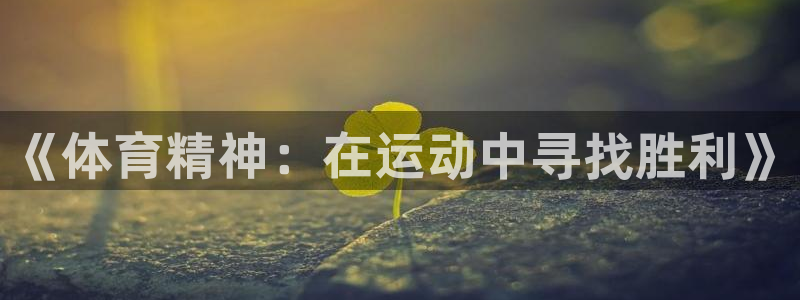 3377体育官方正版app新能源：《体育精神：在运动