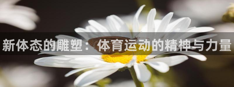 3377体育官方正版app开户：新体态的雕塑：体育运