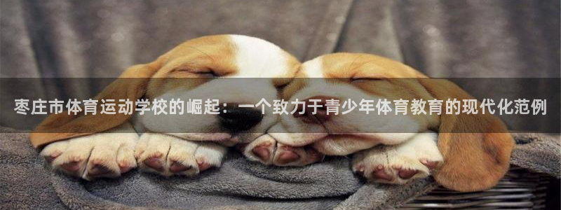3377体育官网下载：枣庄市体育运动学校的崛起：一个