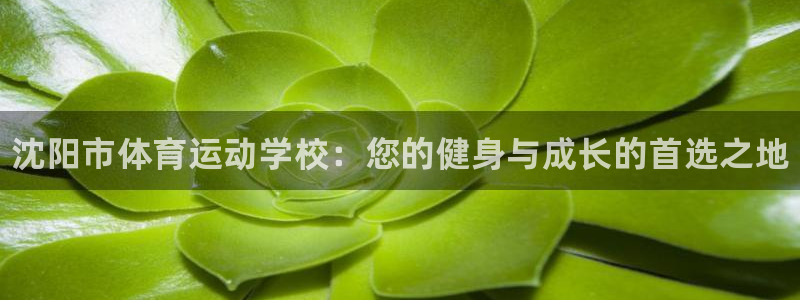 3377体育官方正版app集团：沈阳市体育运动学校：您的健身