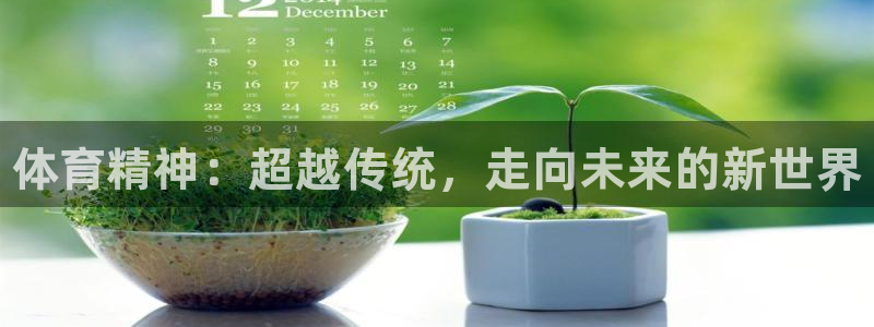 3377体育官网下载开户