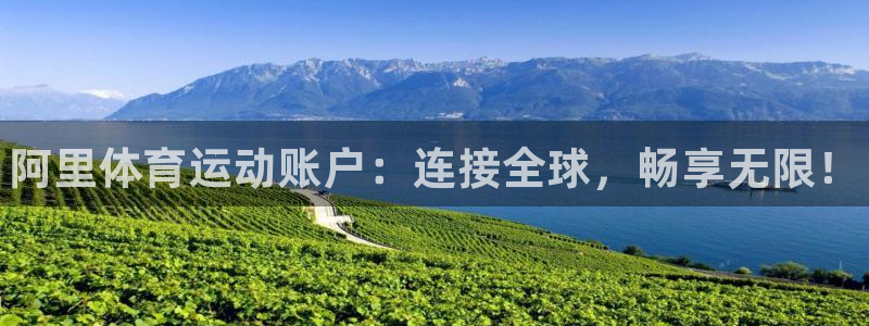 3377体育官方正版app娱乐下载：阿里体育运动账户