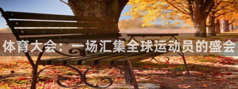 3377体育官方正版app娱乐网站：体育大会：一场汇