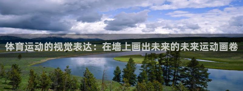 3377体育官方正版app代理：体育运动的视觉表达：