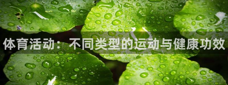 3377体育官网下载软件：体育活动：不同类型的运动与健康功效