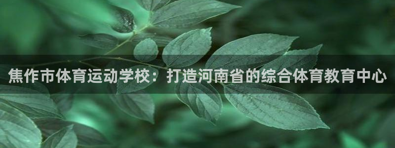 3377体育官方平台体育：焦作市体育运动学校：打造河南省的综
