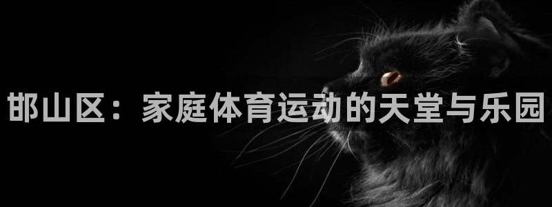 3377体育官方正版app娱乐首页官网下载：邯山区：