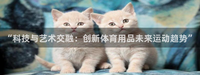 3377体育官网下载招商：“科技与艺术交融：创新体育用品未来