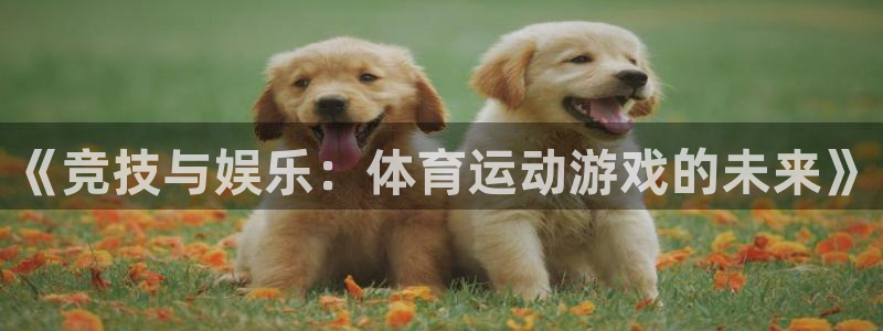 3377体育官方集团官网：《竞技与娱乐：体育运动游戏的未来》
