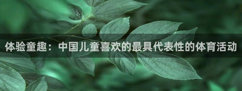 3377体育官方正版app集团官网首页：体验童趣：中国儿童喜