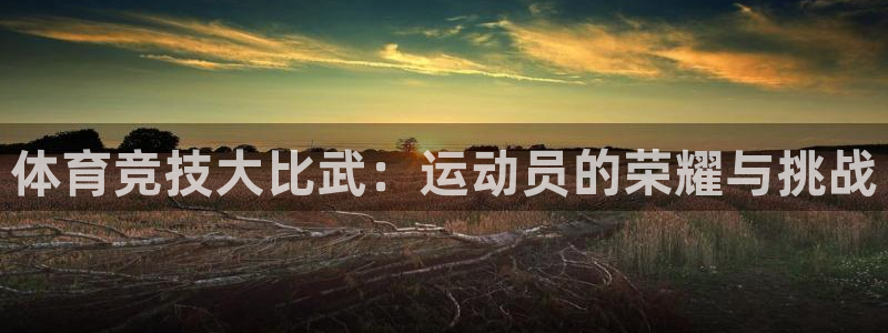 3377体育官网下载平台APP