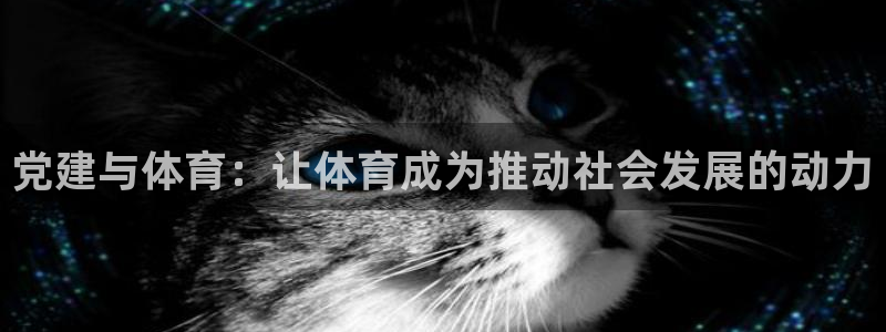 3377体育官方正版app集团简介：党建与体育：让体育成为推