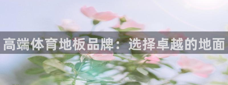 3377体育官网下载招商电话号码查询：高端体育地板品牌：选择