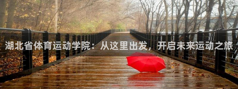 3377体育官网下载招商电话是多少