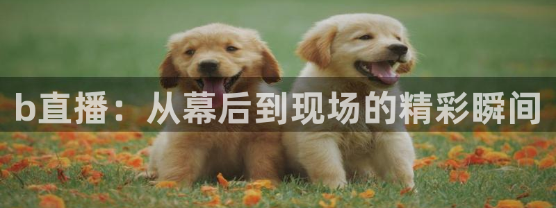 qy球友会体育网址