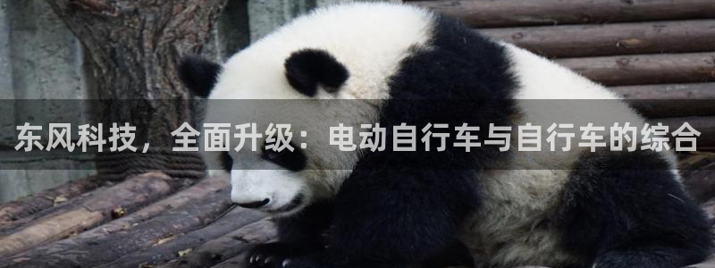3377体育有风险吗：东风科技，全面
