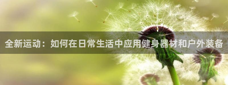 3377体育提款失败的原因分析：全新