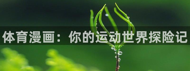 3377体育中国官方网站入口：体育漫