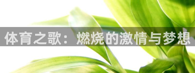 3377体育提款容易通过吗为什么：体