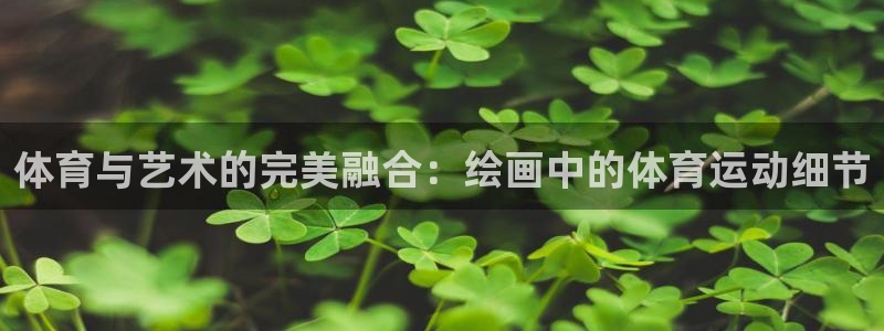 3377体育退款：体育与艺术的完美融