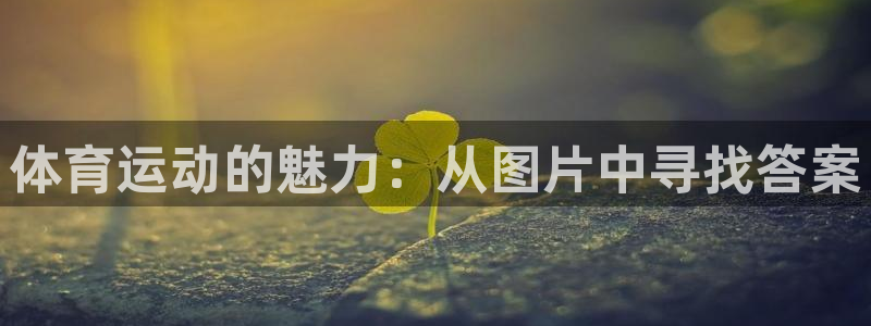 3377体育是正规平台吗：体育运动的