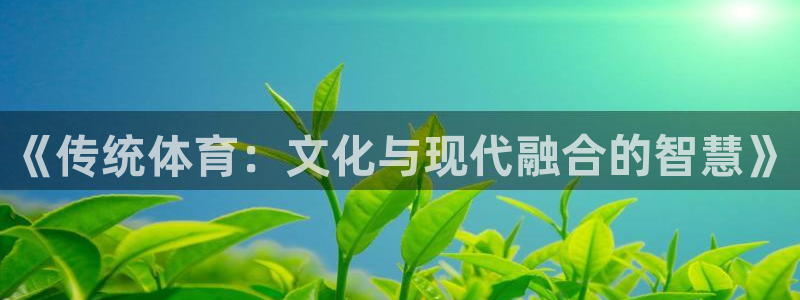 3377体育是什么：《传统体育：文化