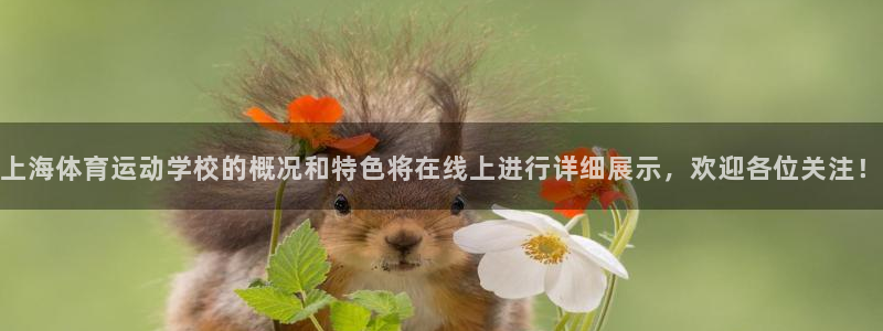3377体育手机平台：上海体育运动学