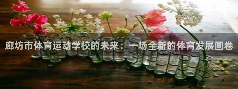 3377体育不出款：廊坊市体育运动学
