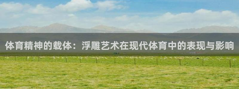 3377体育退款：体育精神的载体：浮