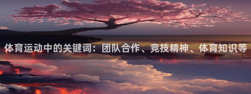 3377体育app倒闭了吗知乎：体育