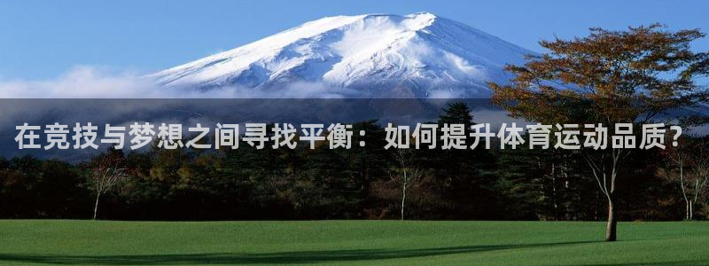 3377体育退款最新政策：在竞技与梦