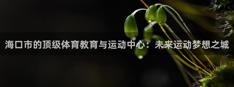 3377体育唯一官方网站：海口市的顶