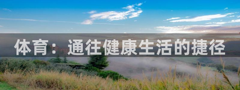 3377体育是正规平台吗：体育：通往